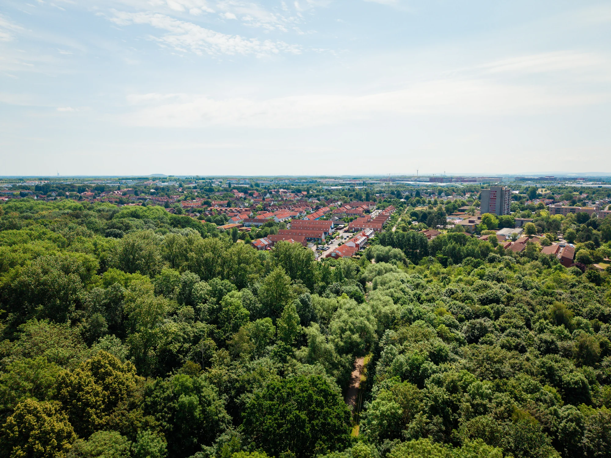 lage-luftbild-landschaft-wald
