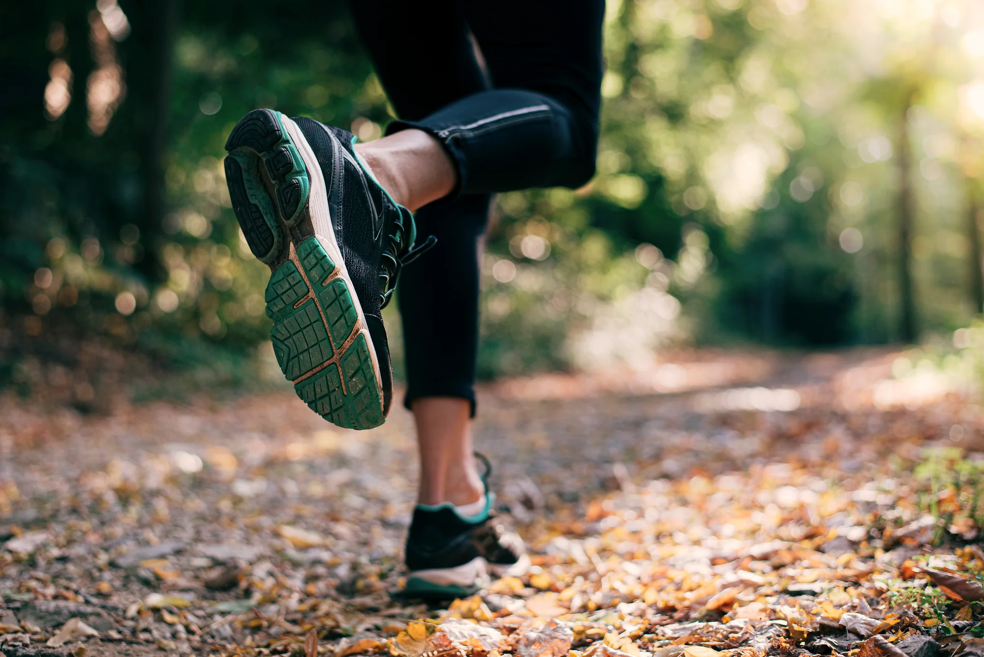 lage-stock-joggerin-waldweg